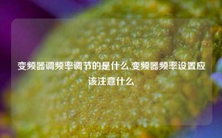 变频器调频率调节的是什么,变频器频率设置应该注意什么