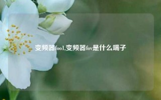 变频器foo1,变频器fov是什么端子