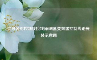 变频器的控制线接线原理图,变频器控制线路安装示意图