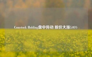 Comstock Holding盘中异动 股价大涨5.05%