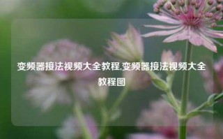 变频器接法视频大全教程,变频器接法视频大全教程图