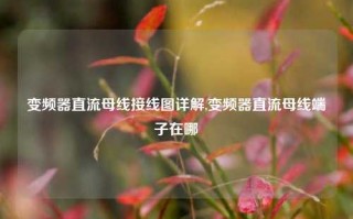 变频器直流母线接线图详解,变频器直流母线端子在哪