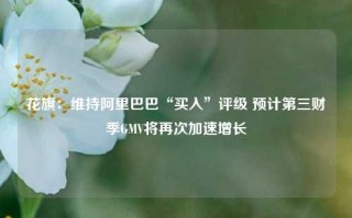 花旗：维持阿里巴巴“买入”评级 预计第三财季GMV将再次加速增长