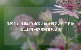 孟晚舟：并非站在山顶才能被看见，在平凡岗位上同样可以成就非凡价值