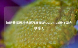 特朗普据悉将选择万斯盟友James Braid担任国会联络人