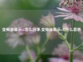 变频器显示e2怎么回事,变频器显示e27什么意思