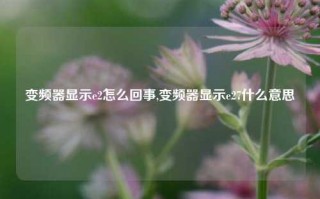 变频器显示e2怎么回事,变频器显示e27什么意思