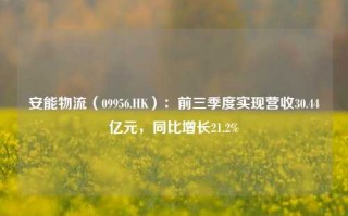 安能物流（09956.HK）：前三季度实现营收30.44亿元，同比增长21.2%