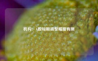 机构：A股短期调整幅度有限