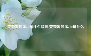 变频器显示e2是什么故障,变频器显示e22是什么