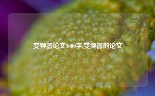 变频器论文3000字,变频器的论文