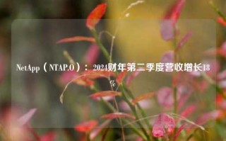 NetApp（NTAP.O）：2024财年第二季度营收增长18%