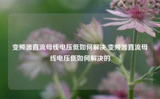 变频器直流母线电压低如何解决,变频器直流母线电压低如何解决的