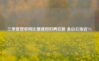 三季度营收同比增速回归两位数 金山云涨近7%