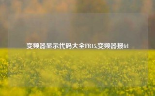 变频器显示代码大全FR15,变频器报frl