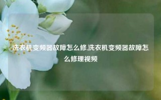 洗衣机变频器故障怎么修,洗衣机变频器故障怎么修理视频