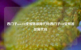 西门子mm430变频器故障代码,西门子440变频器故障代码