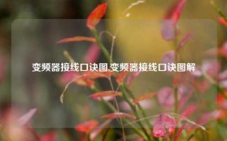 变频器接线口诀图,变频器接线口诀图解