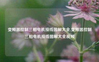 变频器控制三相电机接线图解大全,变频器控制三相电机接线图解大全视频