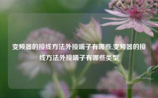 变频器的接线方法外接端子有哪些,变频器的接线方法外接端子有哪些类型