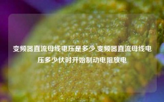 变频器直流母线电压是多少,变频器直流母线电压多少伏时开始制动电阻放电