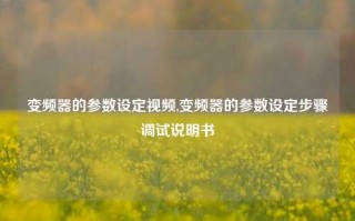 变频器的参数设定视频,变频器的参数设定步骤调试说明书