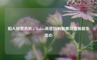 陷入经营危机，Kakao高管回购股票以提振股东信心