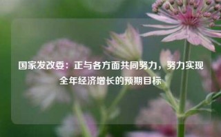 国家发改委：正与各方面共同努力，努力实现全年经济增长的预期目标