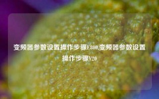 变频器参数设置操作步骤E800,变频器参数设置操作步骤V20