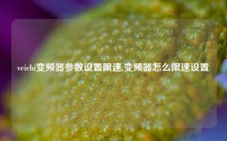 veichi变频器参数设置限速,变频器怎么限速设置