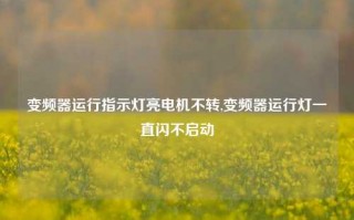 变频器运行指示灯亮电机不转,变频器运行灯一直闪不启动