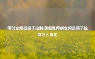 伟创变频器端子控制接线图,伟创变频器端子控制怎么设定