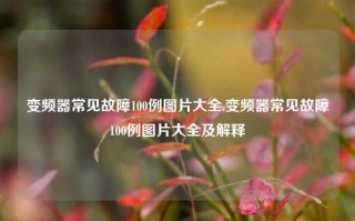 变频器常见故障100例图片大全,变频器常见故障100例图片大全及解释