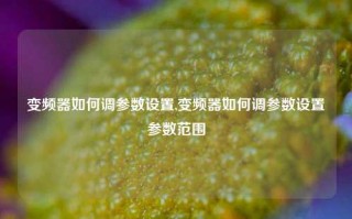 变频器如何调参数设置,变频器如何调参数设置参数范围