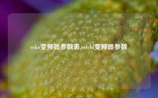 veko变频器参数表,velchl变频器参数