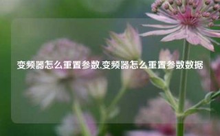 变频器怎么重置参数,变频器怎么重置参数数据