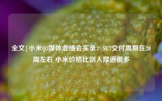 全文|小米Q3媒体业绩会实录：SU7交付周期在20周左右 小米价格比别人厚道很多