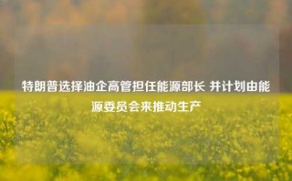 特朗普选择油企高管担任能源部长 并计划由能源委员会来推动生产