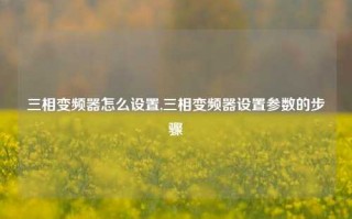 三相变频器怎么设置,三相变频器设置参数的步骤