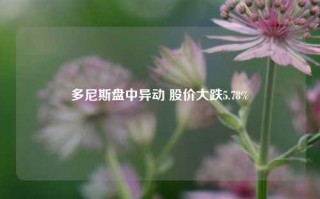 多尼斯盘中异动 股价大跌5.78%