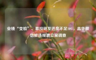 业绩“变脸”、募投研发进度不足10%，晶华微信披违规遭立案调查