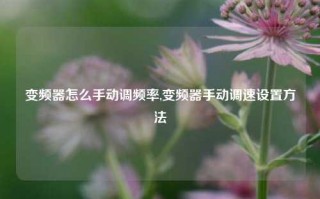 变频器怎么手动调频率,变频器手动调速设置方法