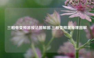 三相电变频器接法图解图,三相变频器原理图解