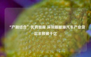 “产融结合”优势显现 深圳新能源汽车产业贷款余额破千亿