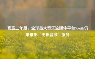 官宣三年后，全球最大音乐流媒体平台Spotify仍未推出“无损音频”服务