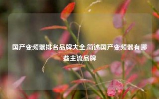 国产变频器排名品牌大全,简述国产变频器有哪些主流品牌