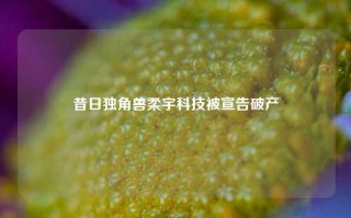 昔日独角兽柔宇科技被宣告破产