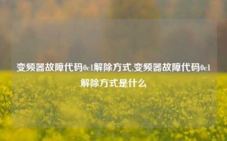 变频器故障代码0c1解除方式,变频器故障代码0c1解除方式是什么