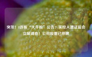 突发！8连板“大牛股”公告：实控人遭证监会立案调查！公司股票已停牌