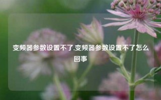 变频器参数设置不了,变频器参数设置不了怎么回事